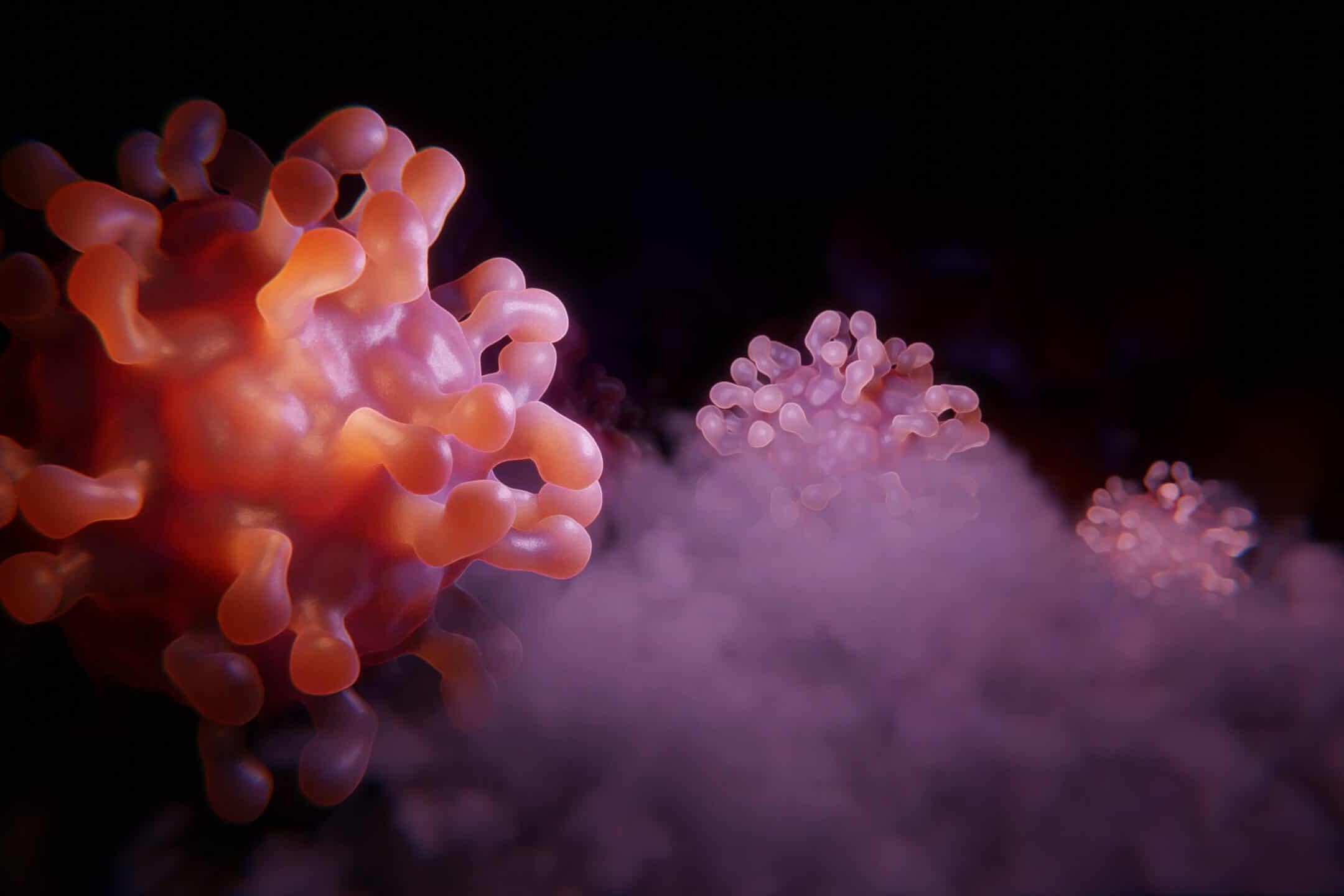 This is a close up image of white blood cells in the dark. There are 3 cells that are floating in a cloud.