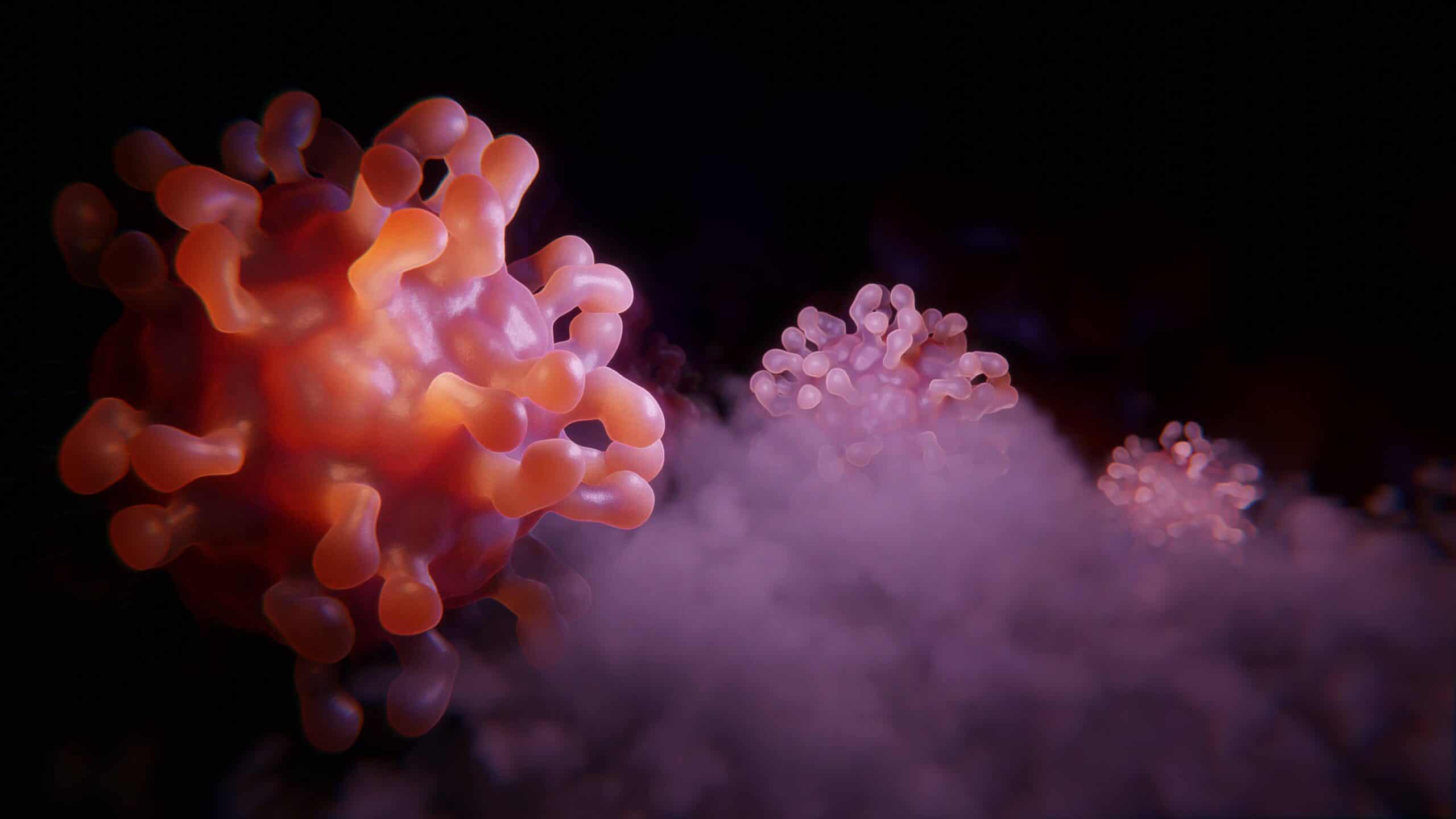 This is a close up image of white blood cells in the dark. There are 3 cells that are floating in a cloud.